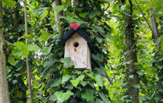 Vogelhaus, Nistkasten