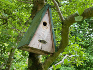 Vogelhaus, Nistkasten