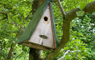 Vogelhaus, Nistkasten