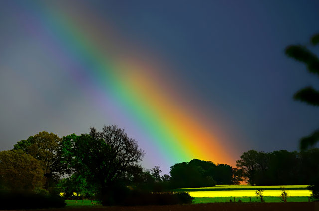 Regenbogen (Wolfgang F)