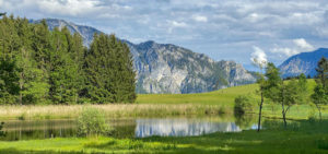 Naturidylle Egelsee