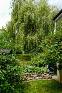 "Natur im Garten" am Stadtrand von Graz (Bild: ORF/Heribert Fuchs)
