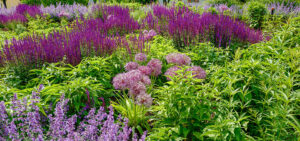 Natur im Garten in Tulln (Bild: ORF/Heribert Fuchs)