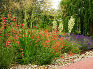 Natur im Garten (Bild: ORF/L. Mayrhofer)