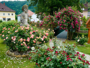 Natur im Garten (Bild: ORF/H. Fuchs)