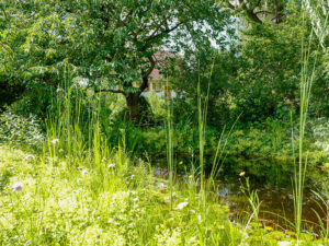 "Natur im Garten" (Bild: ORF/H. Fuchs)
