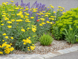 "Natur im Garten" (ORF/TV-Talk)