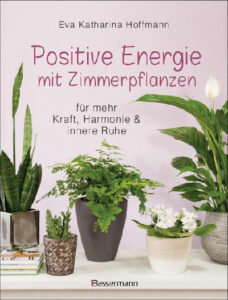 Buch: Positive Energie mit Zimmerpflanzen