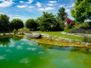 Natur im Garten (Bild: ORF/H. Fuchs)