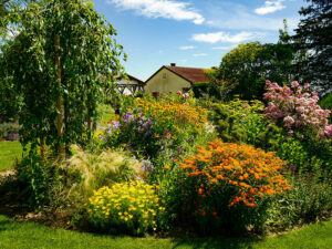 Natur im Garten (Bild: ORF/H. Fuchs)