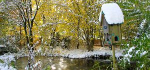 Gartenteich - auch im Winter ein Blickpunkt