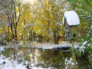 Gartenteich - auch im Winter ein Blickpunkt