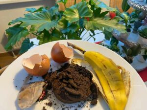 Kaffee, Eierschalen, Banane, Hausmittel als Dünger