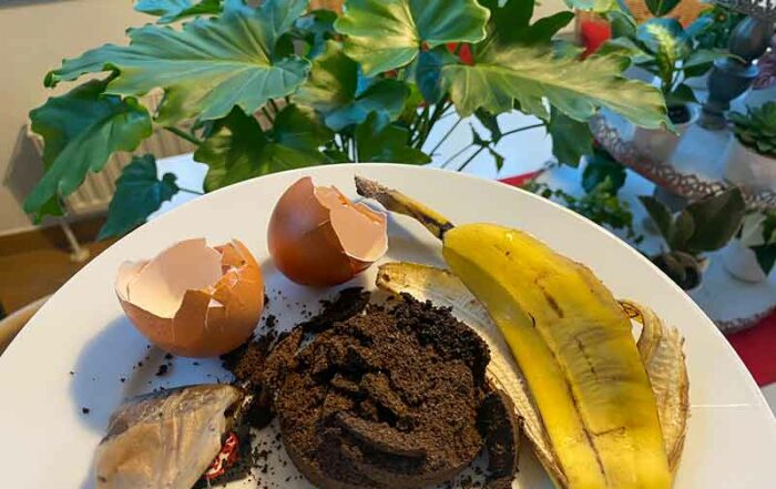 Kaffee, Eierschalen, Banane, Hausmittel als D&uuml;nger