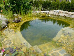 Natur im Garten (Bild: ORF/H. Fuchs)