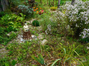 Natur im Garten (Bild: ORF/H. Fuchs)