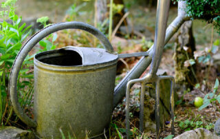 Gießkanne und Grabgabel (Pixabay/congerdesign)
