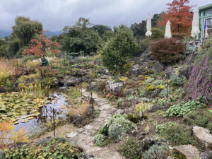 Gartenreise Deutschland - Staudengärtnerei