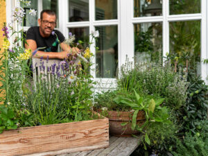Garteln am Balkon mit Wildblumen