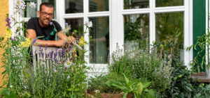Garteln am Balkon mit Wildblumen