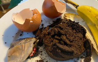 Kaffee, Eierschalen, Banane, Hausmittel als Dünger