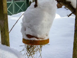 Ohrwurmhäuschen im Winter