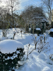 Winter im Garten Ploberger