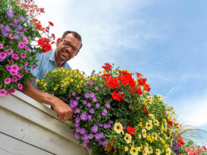 Plo mit Balkonblumen