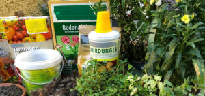 Dünger