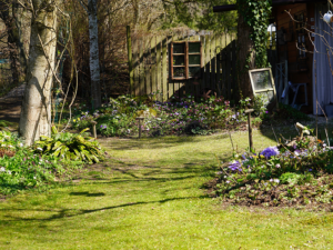 Natur im Garten in Micheldorf (Bild: ORF/L. Mayrhofer)