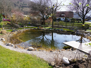 Natur im Garten in Micheldorf (Bild: ORF/L. Mayrhofer)