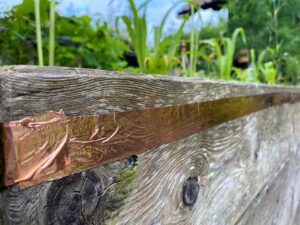 Kupferband als Schneckenzaun