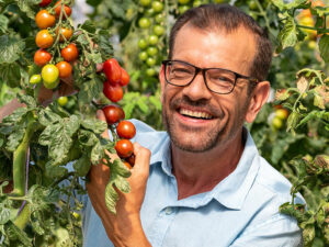 Plo im Tomatenparadies