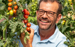 Plo im Tomatenparadies