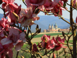 Natur im Garten (Bild: L. Mayrhofer)