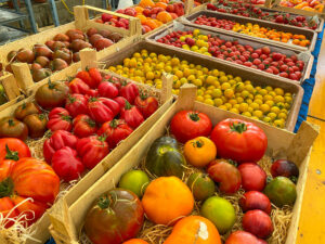 Tomatenvielfalt