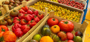 Tomatenvielfalt