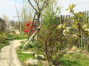 Natur im Garten (Bild: Leopold Mayrhofer)