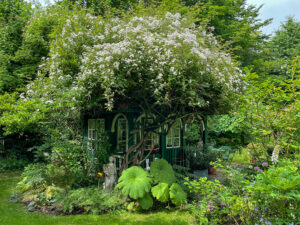 Gartenhaus mit Rose Goldfinch