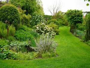 Natur im Garten (Bild: Leopold Mayrhofer)