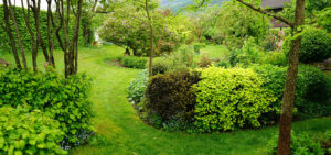 Natur im Garten (Bild: Leopold Mayrhofer)