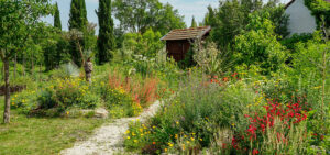 Natur im Garten in Nyárliget (Bild: Natur im Garten/Mayrhofer)
