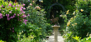 Natur im Garten (Bild: L. Mayrhofer)