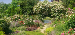 Natur im Garten in Güssing (Bild: Natur im Garten/Mayrhofer)