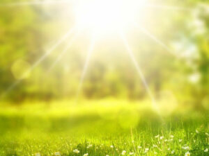 Sonne, Hitze