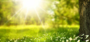 Sonne, Hitze