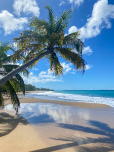 Karibisches-Paradies