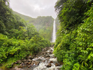 Tropischer Regenwald mit Wasserfall