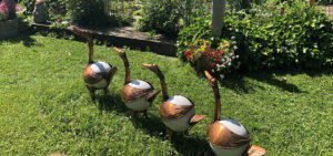 Natur im Garten (Bild: Lena Weithofer)