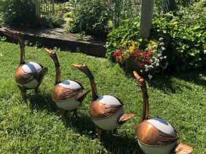 Natur im Garten (Bild: Lena Weithofer)